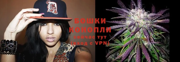 винт Белокуриха