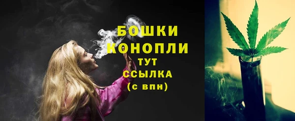 винт Белокуриха
