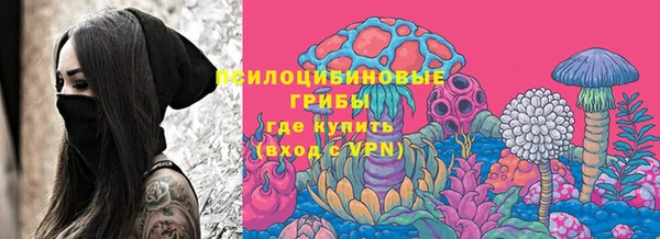 винт Белокуриха