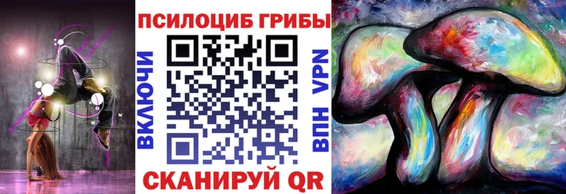 Псилоцибиновые грибы Psilocybine cubensis  Купить где  Новый Уренгой 